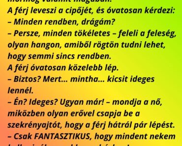 Egy este a férj hazaér a munkából, teljesen kimerülten.