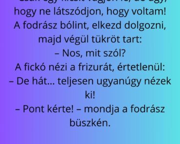 Egy fickó beül a fodrászhoz, és azt mondja: Egy fickó beül a fodrászhoz, és azt mondja: