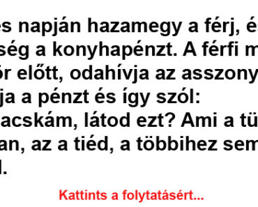 Fizetés napján hazamegy a férj, és kéri a feleség a konyhapénzt