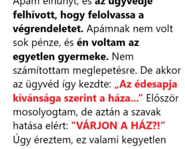 Emlékekkel teli ház: Apám utolsó meglepetése