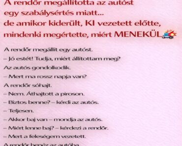A rendőr megállította az autóst egy szabálysértés miatt… de amikor kiderült, KI vezetett előtte, mindenki megértette, miért MENEKÜL 😳🚓💥