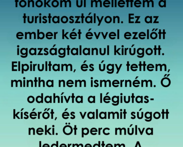 Kirúgott a főnököm, két évvel később egy repülőúton teljesen megváltoztatta az életem