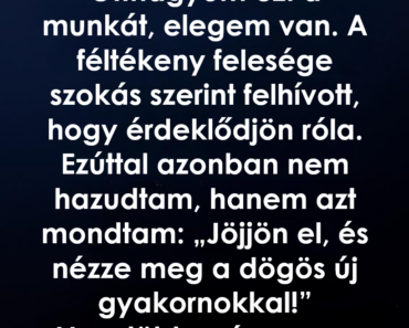 Egy telefonhívás többet tanított az emberekről, mint évek a munka világában