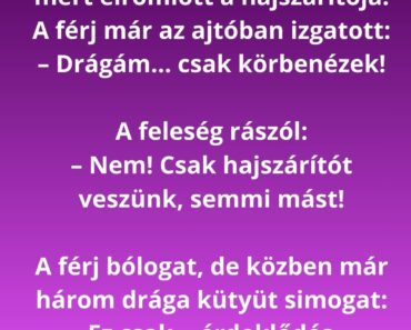 A feleség beviszi a férjét a műszaki boltba, mert elromlott a hajszárítója.