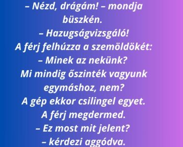 A feleség egy nap hazahoz egy furcsa kis gépet.