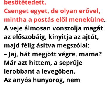 A nagyothalló anyós késő este ér haza, már jócskán besötétedett.