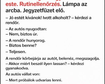 A rendőr már majdnem elengedte az autóst… de az utolsó mondata után mindenki tudta: EZT NEM KELLETT VOLNA MEGKÉRDEZNIE 😳🚓🔥