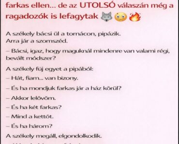 A székely bácsit megkérdezték, mit tesz farkas ellen… de az UTOLSÓ válaszán még a ragadozók is lefagytak 🐺😳🔥