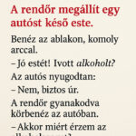A Rendőr Csak Egy Kérdést Tett Fel… Az Autós Válaszától Még Ő Is Ledermedt – A Csomagtartós Fordulat Brutális! bb07f9e6-e88d-4d94-8eca-436dc7a325da