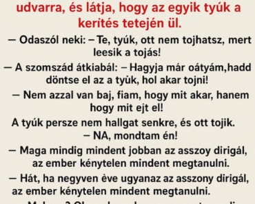 A székely bácsi reggel felkel, kimegy az udvarra, és látja, hogy az egyik tyúk a kerítés tetején ül. Odaszól neki: – Te, tyúk, ott nem tojhatsz, mert leesik a tojás!
