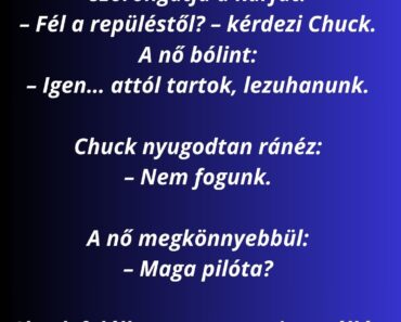 Chuck Norris felszáll a repülőre, leül.