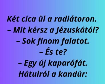 Két cica ül a radiátoron.