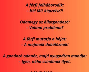 Egy férfi az állatkertben nézi a majmokat.