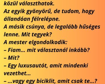 Egy srác tanácsért megy a bölcs öreghez: