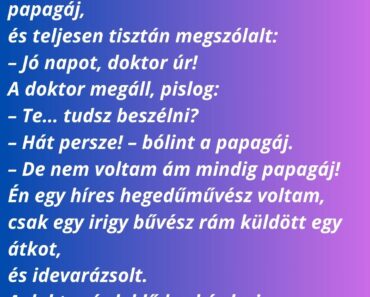 Egy szombat reggel a körzeti állatorvos sétált a rendelője felé