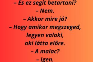 Miért kaptam szerencsemalacot újévre?