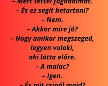 Miért kaptam szerencsemalacot újévre? Miért kaptam szerencsemalacot újévre?