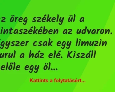 VICC: Az öreg székely ül a hintaszékében az udvaron. Egyszer csak egy limuzin gurul a…