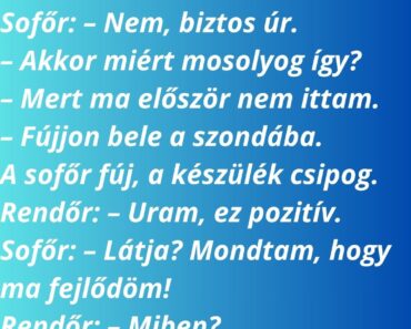 Rendőr megállítja a sofőrt: