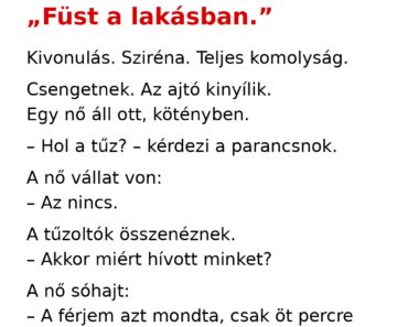 A tűzoltók füst miatt vonultak ki… de amit a házban találtak, arra SENKI nem számított 😳🚒🔥