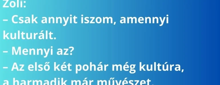 Zoli úgy dönt, hogy idén kulturált felnőtt lesz, és elmegy a karácsonyi vásárba.