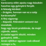 Karácsony előtt apuka nagy büszkén hazahoz egy gyönyörű fenyőt. „A karácsonyfa,