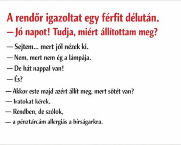 A rendőr rutinkérdése volt a hiba – az autós válasza mindent vitt