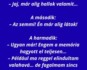 Három öreg a parkban üldögél.