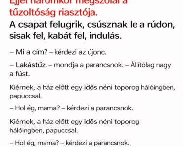 VICC: A Tűzoltók Lakástűzhöz Vonultak Ki Éjjel… Amit Bent Találtak, Attól Még Ők Is Majdnem Lángra Kaptak A Nevetéstől