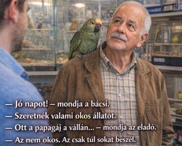 Otthagyta a papagáját egy napra az állatboltban… másnap olyan mondatot kapott, hogy kész, vége
