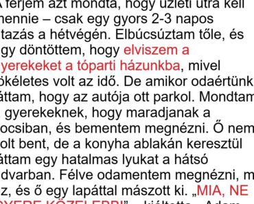 A férjem mondta, munka miatt utazott el – aztán a tóparti házunk mögött találtam rá ásás közben