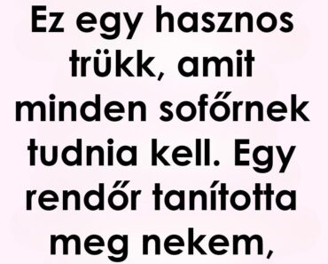 5 dolog, ami mindig legyen az autódban