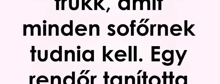 5 dolog, ami mindig legyen az autódban