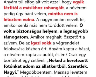 Az óvodából hazafelé menet a lányom „másik anyukájáról és apukájáról” beszélt – és az én világom csendesen összeomlott.