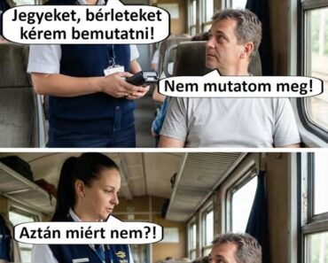 15 bliccelő utas, aki megpróbálta kidumálni magát a jegyellenőrnél