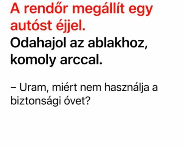 A Rendőr Csak Az Övet Kérdezte… Az Autós Válasza Olyan Logikus Volt, Hogy A Jegyzetfüzet Is Megállt
