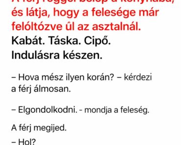 A Feleség Csak Elment Gondolkodni… A Férj Nem Tudta, HOGY EZ MÁR NEM EGY SÉTA
