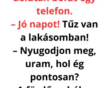Egyetlen telefonhívás miatt vonult ki a tűzoltóság – a végén majdnem ők kaptak infarktust
