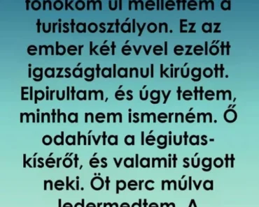 Kirúgott a főnököm, két évvel később egy repülőúton megváltoztatta az életem