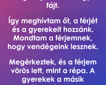 A váratlan események, amelyek akkor történtek, amikor meghívtam a férjem kolléganőjét.