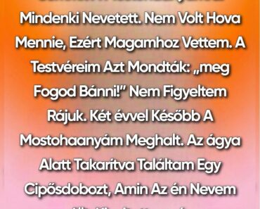 Egyetlen együttérző döntés, ami váratlan igazságot hozott felszínre