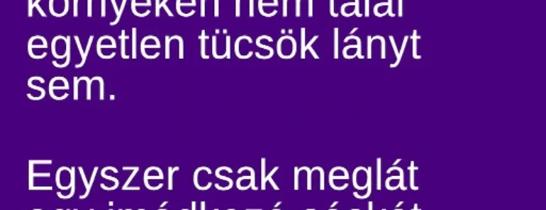 VICC: A tücsök fiúban már nagyon dolgoznak az ösztönök