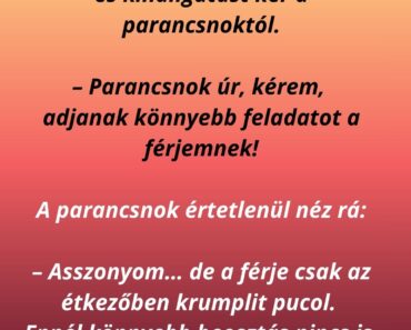 A feleség bemegy a katonai táborba, és kihallgatást kér a parancsnoktól.