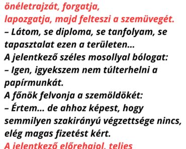 A főnök hosszan nézegeti a jelentkező önéletrajzát,