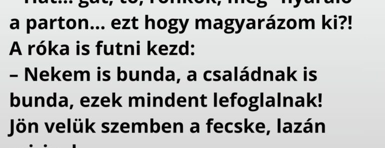 A hód lihegve szalad.