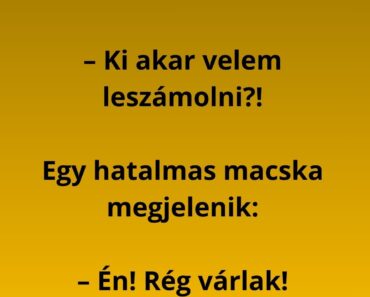 A patkány felmászik a csatornafedélre és kiabál: