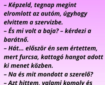 A szőke hölgy meséli a barátnőjének: