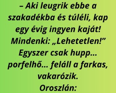 A szakadék és a farkas