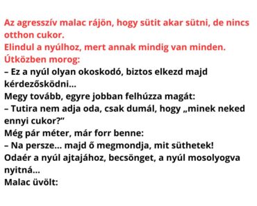 Agresszív malac és a cukor