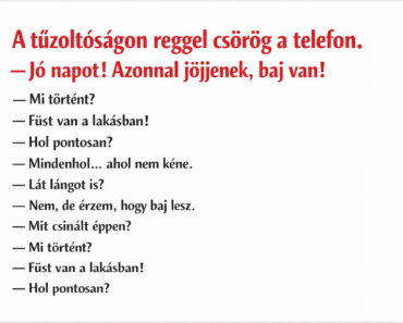 A tűzoltók már majdnem indultak… amit a konyhában találtak, az mindent vitt